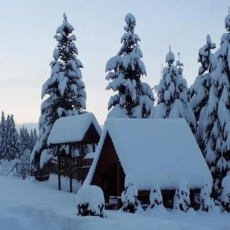 Pod Limba Apartment Zakopane