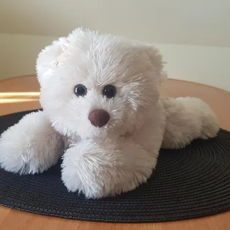 Pod Limba 게스트하우스 자코파네