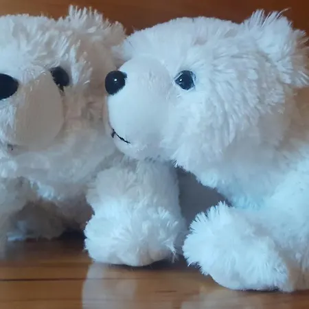 게스트하우스 Pod Limba