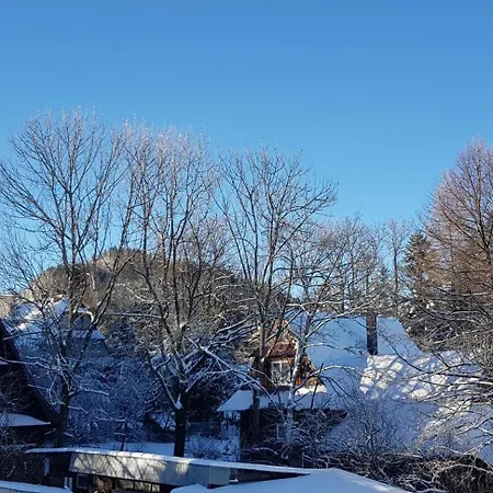 Pod Limba 자코파네