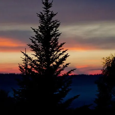 Penzion Pod Limba Zakopane