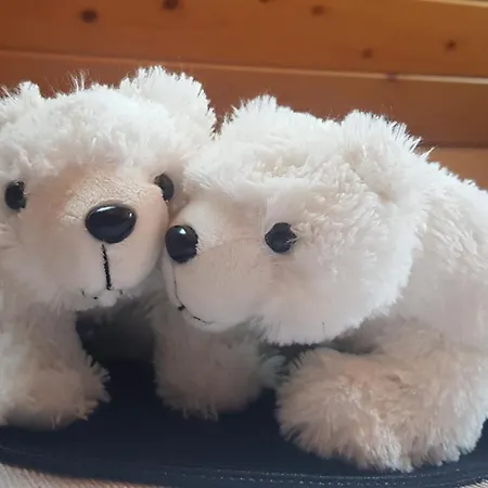 Penzion Pod Limba 3*