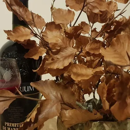 Pod Limba Διαμέρισμα Ζακοπάνε