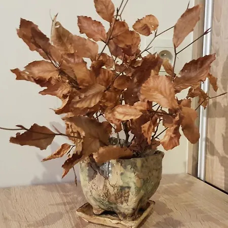 Penzion Pod Limba 3*