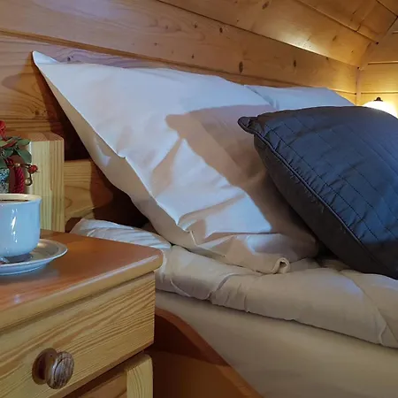 Pod Limba Apartment