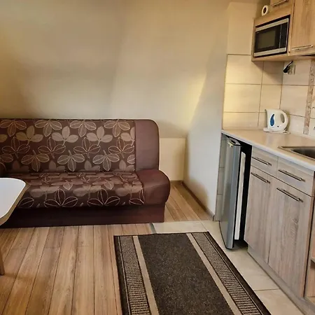 Zakopane Pokoje Comfort Z Aneksem Kuchennym