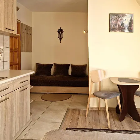 Zakopane Pokoje Comfort Z Aneksem Kuchennym Закопане