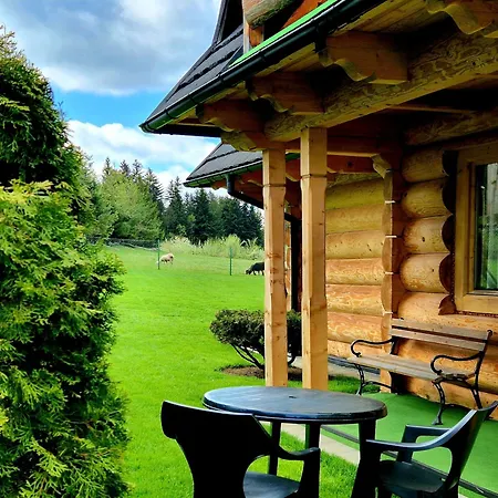 Zakopane Pokoje Comfort Z Aneksem Kuchennym Гостевой дом Закопане
