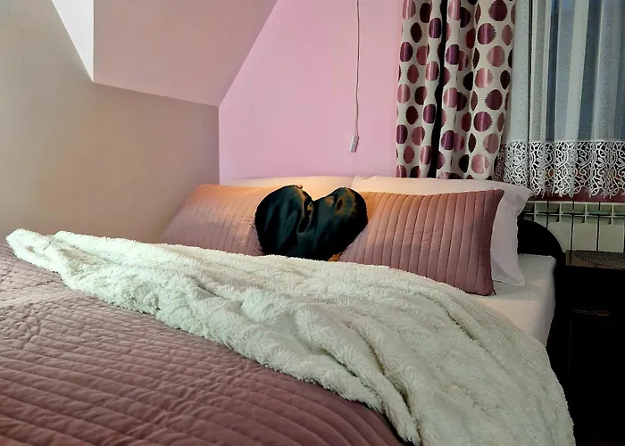 招待所 Pod Limba 3*